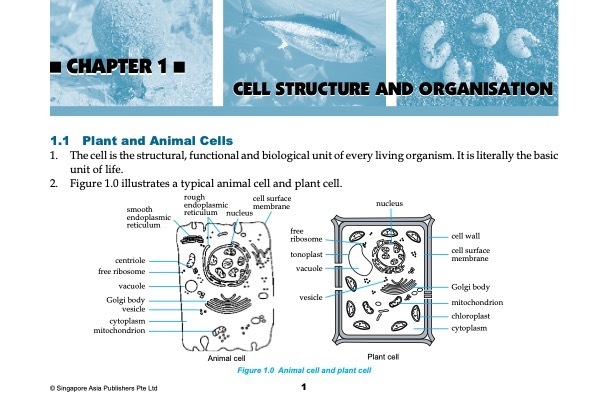 Quick Exam Notes BIOLOGY