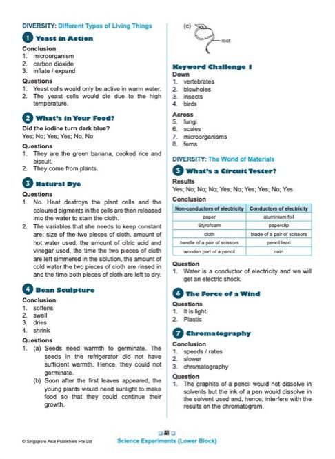 SCIENCE EXPERIMENTS INVESTIGATE . OBSERVE . EVALUATE Lower Block 3/4