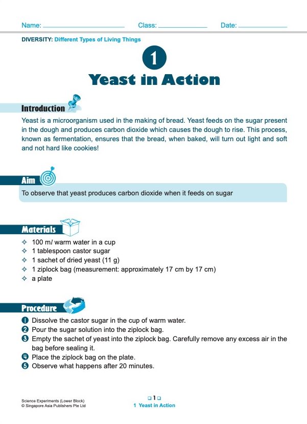 SCIENCE EXPERIMENTS INVESTIGATE . OBSERVE . EVALUATE Lower Block 3/4