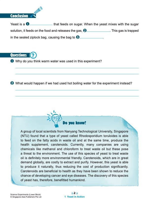 SCIENCE EXPERIMENTS INVESTIGATE . OBSERVE . EVALUATE Lower Block 3/4