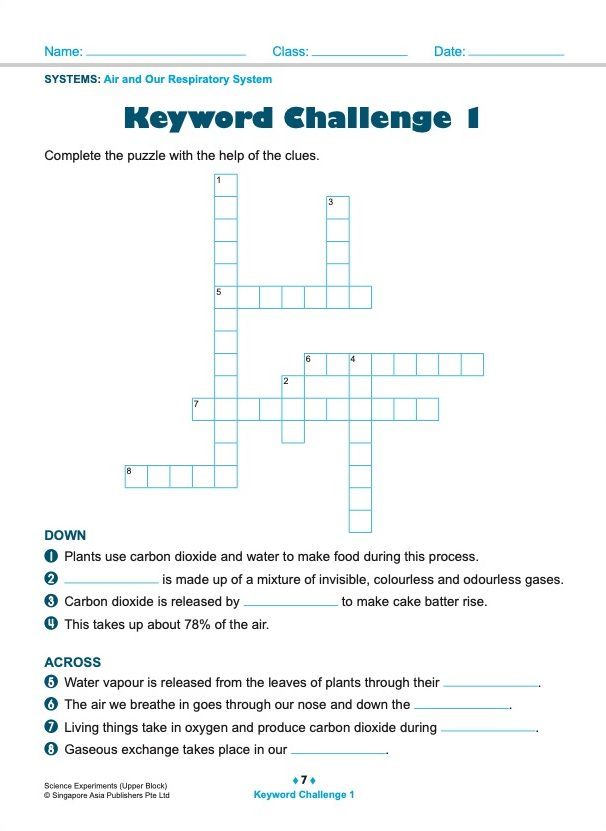 SCIENCE EXPERIMENTS INVESTIGATE . OBSERVE . EVALUATE Upper Block 5/6