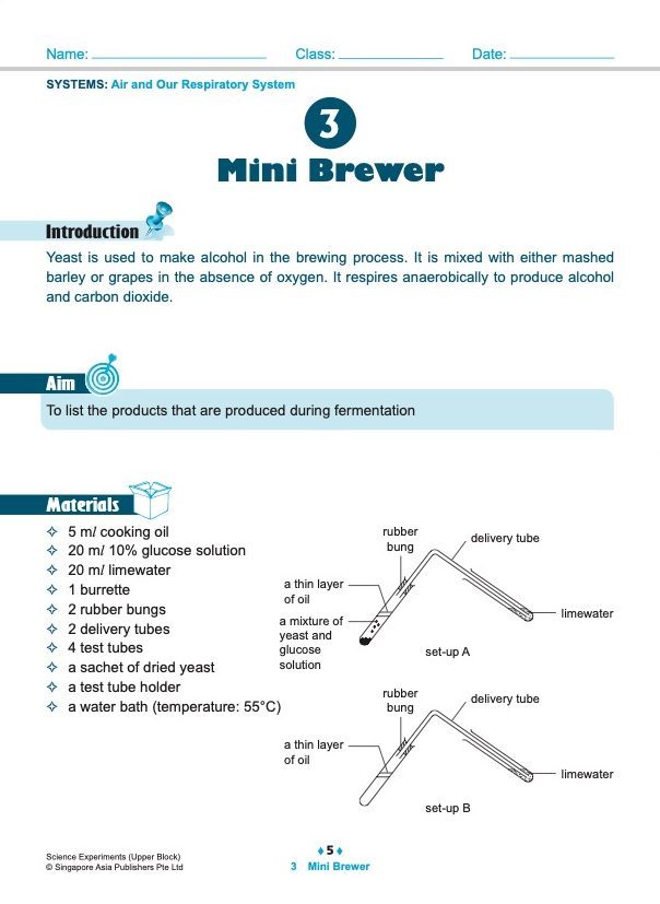 SCIENCE EXPERIMENTS INVESTIGATE . OBSERVE . EVALUATE Upper Block 5/6