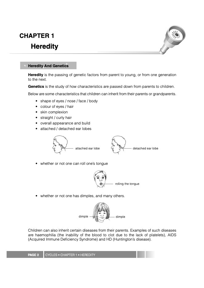 Science Partner A Complete Guide To Upper Block Science 5/6