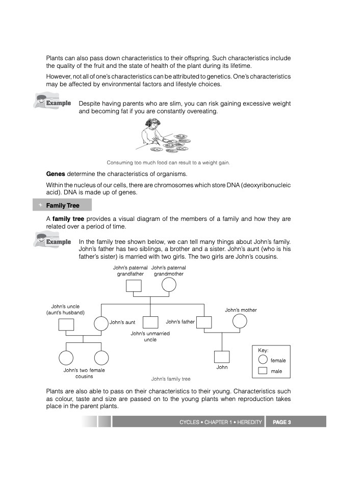 Science Partner A Complete Guide To Upper Block Science 5/6