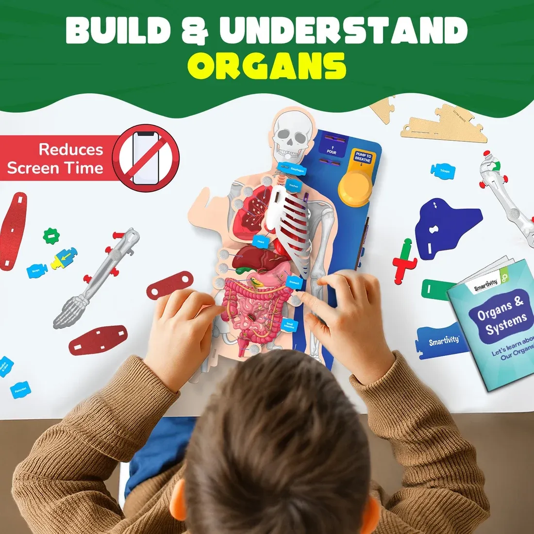 Interactive Human Body | 8 - 14 years | DIY STEM Construction Toy