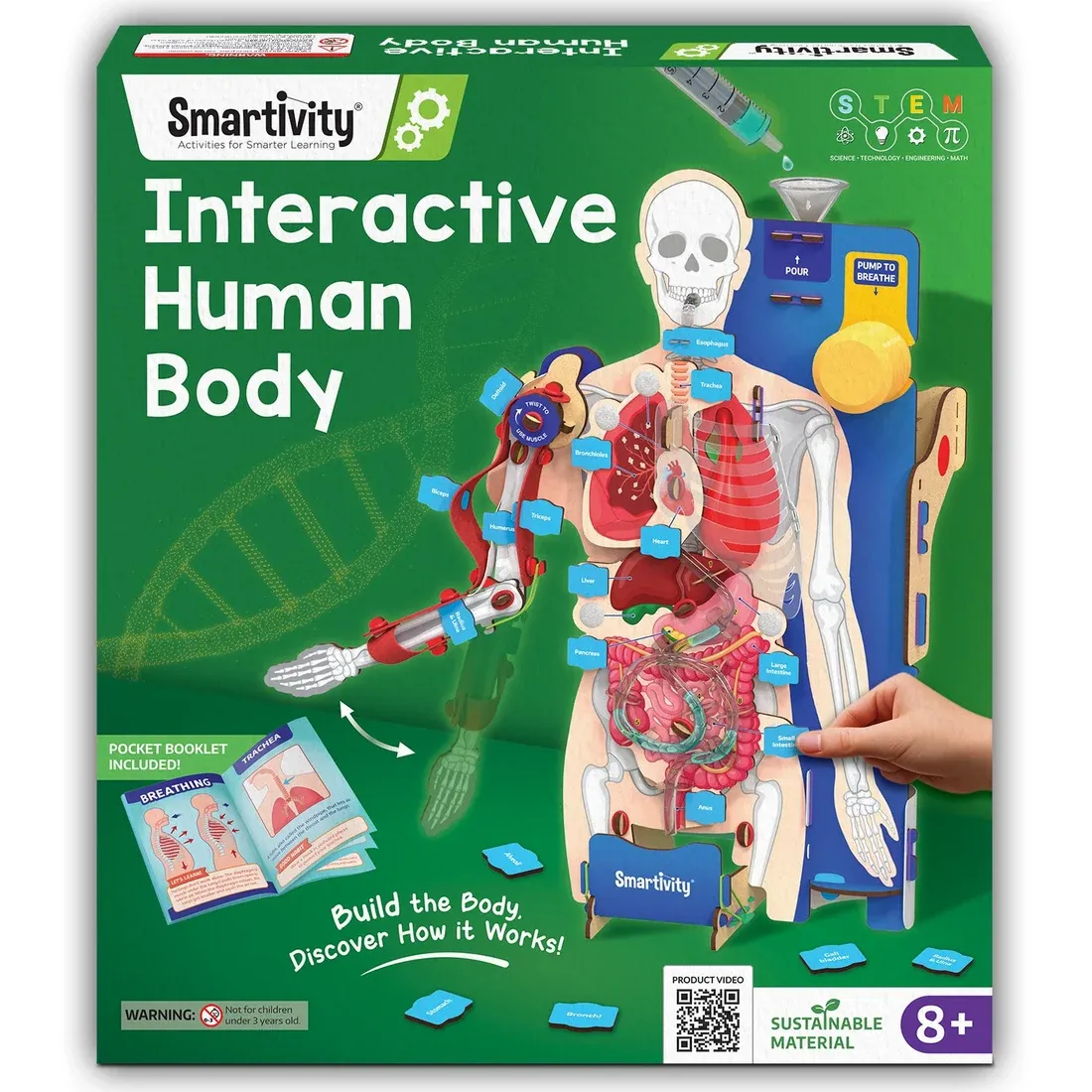 Interactive Human Body | 8 - 14 years | DIY STEM Construction Toy