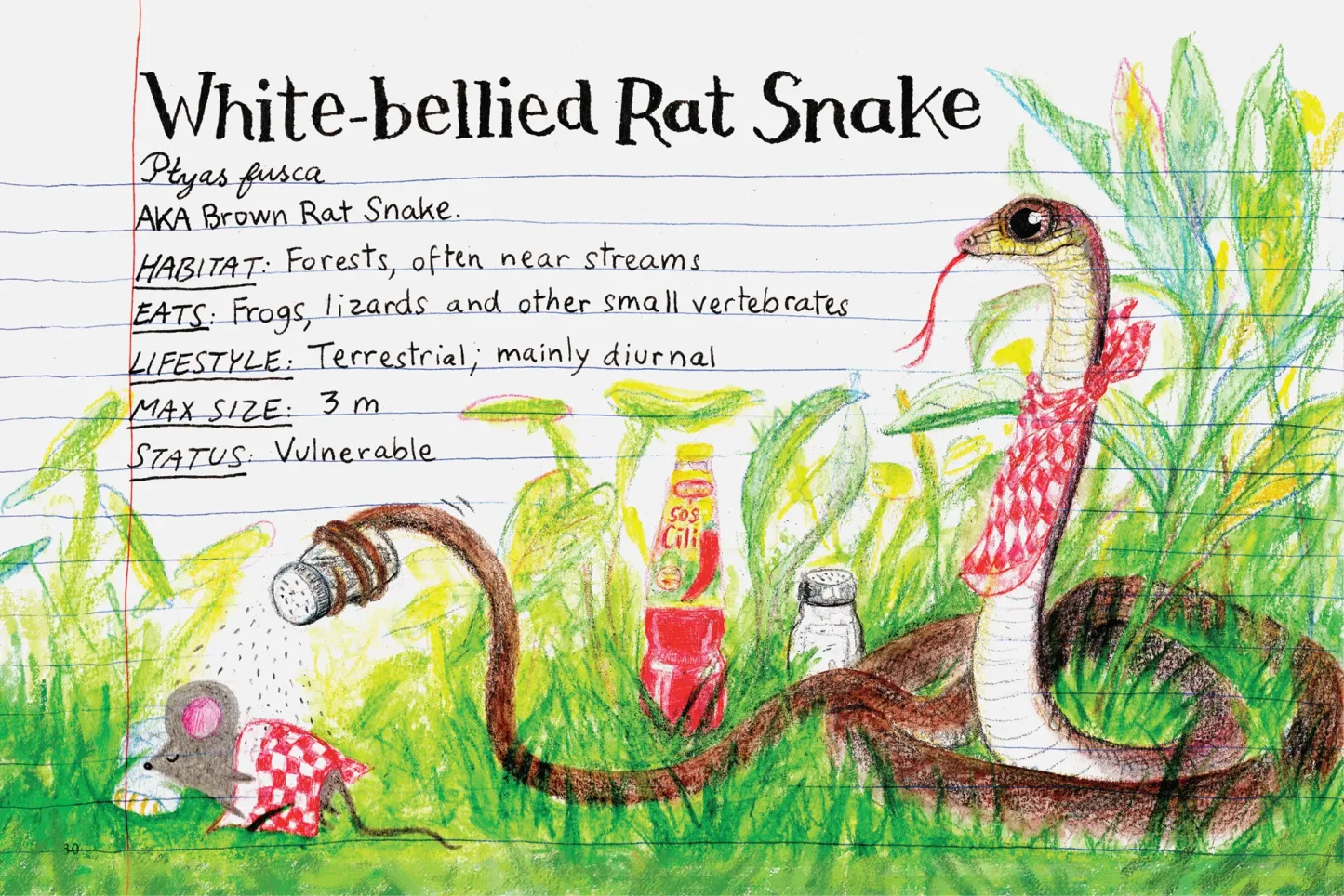 Snakes of Singapore: A Slightly Unhinged Field Guide