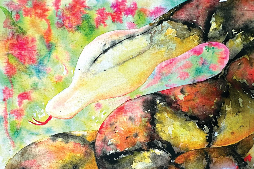 Snakes of Singapore: A Slightly Unhinged Field Guide
