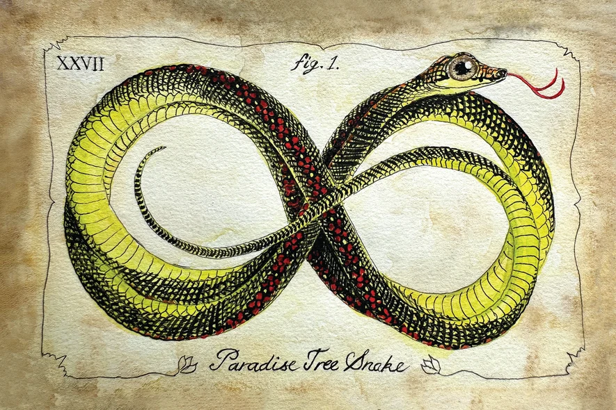 Snakes of Singapore: A Slightly Unhinged Field Guide