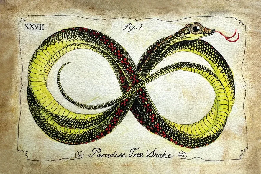 Snakes of Singapore: A Slightly Unhinged Field Guide