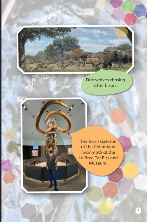 I'm a Vertebrate Paleontologist Now! (Hard cover)