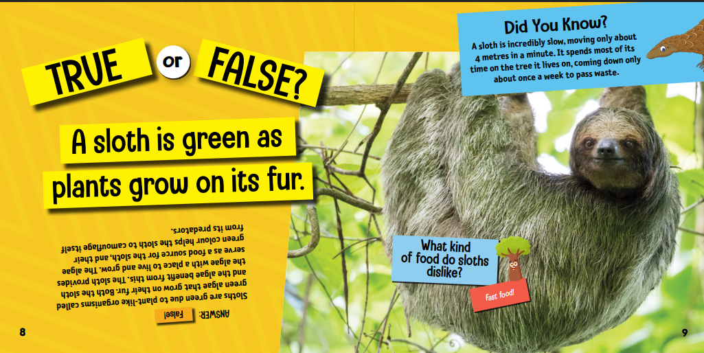 Interactions in Nature (Hardcover)