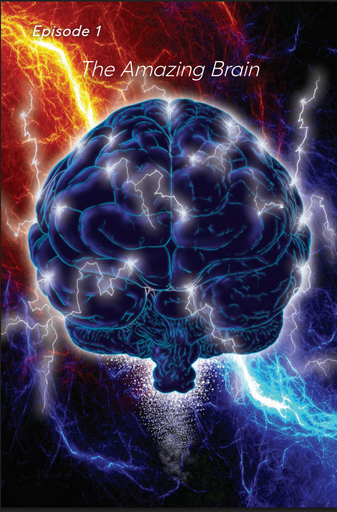 Polderstein 13: School of the Amazing Brain (Hardcover)
