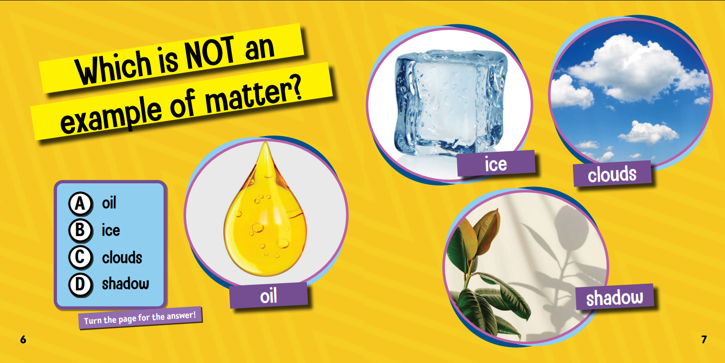 Quiz Champs: Matter and Its States [Softcover]