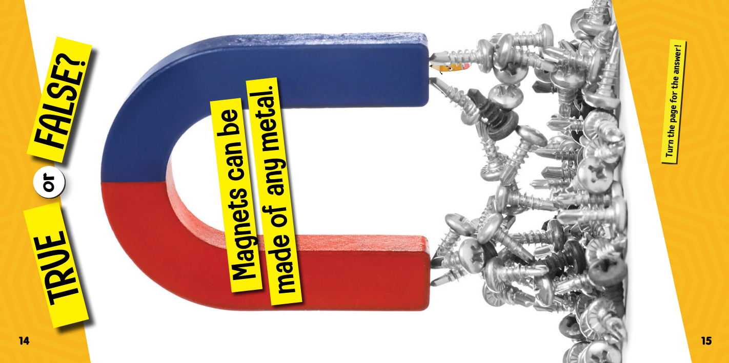 Quiz Champs: Materials and Magnets [Hardcover]