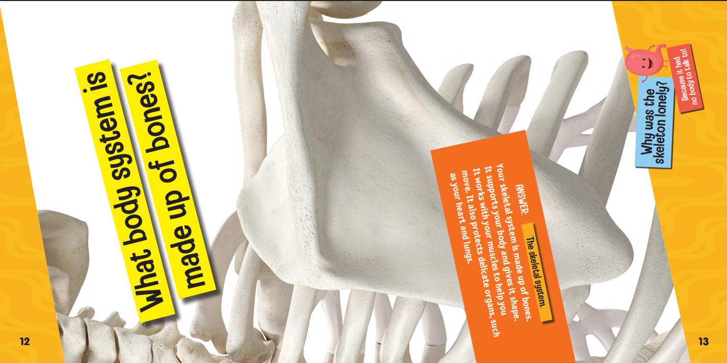 Quiz Champs: Human Body Systems [Hardcover]