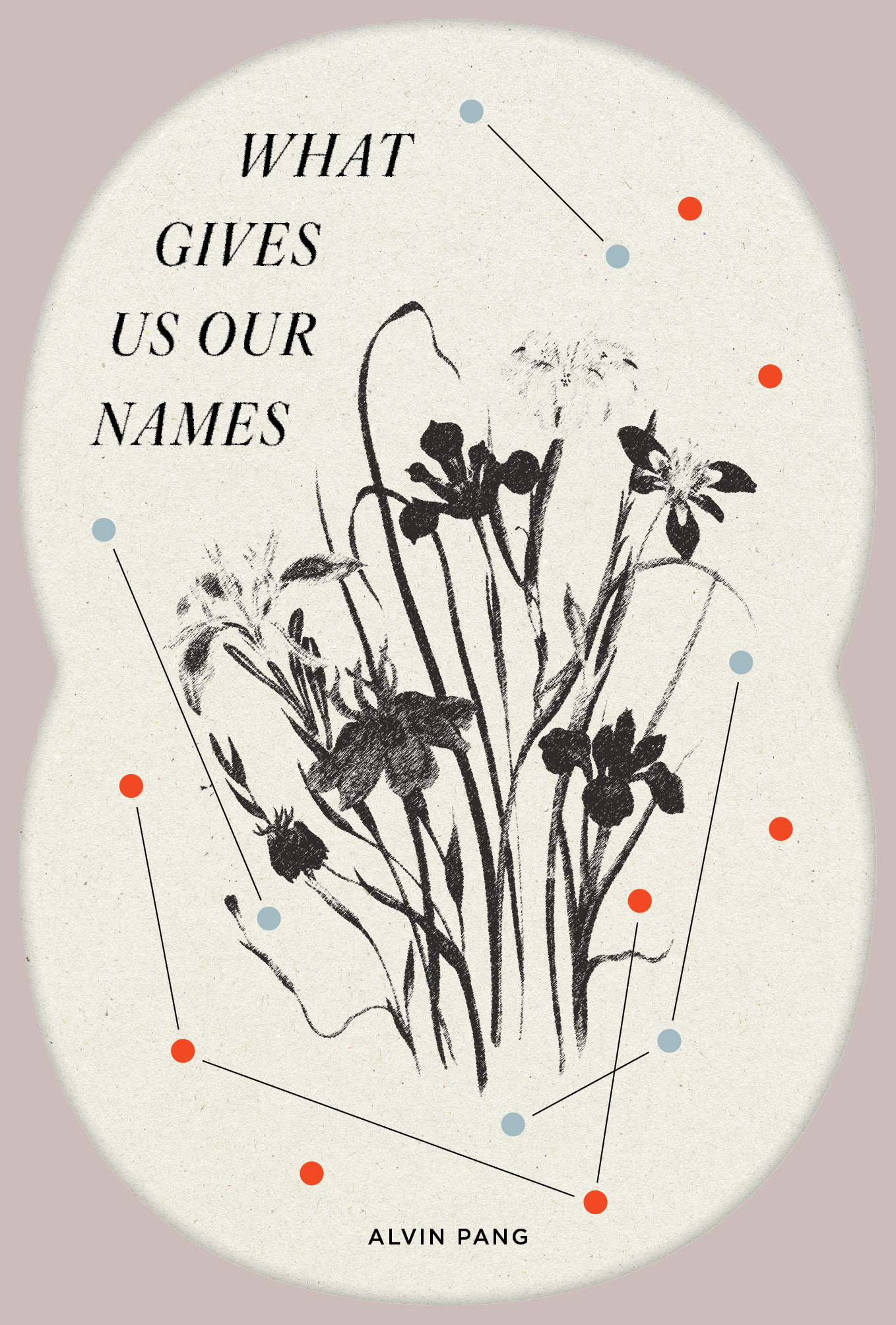 What Gives Us Our Names (reissue)