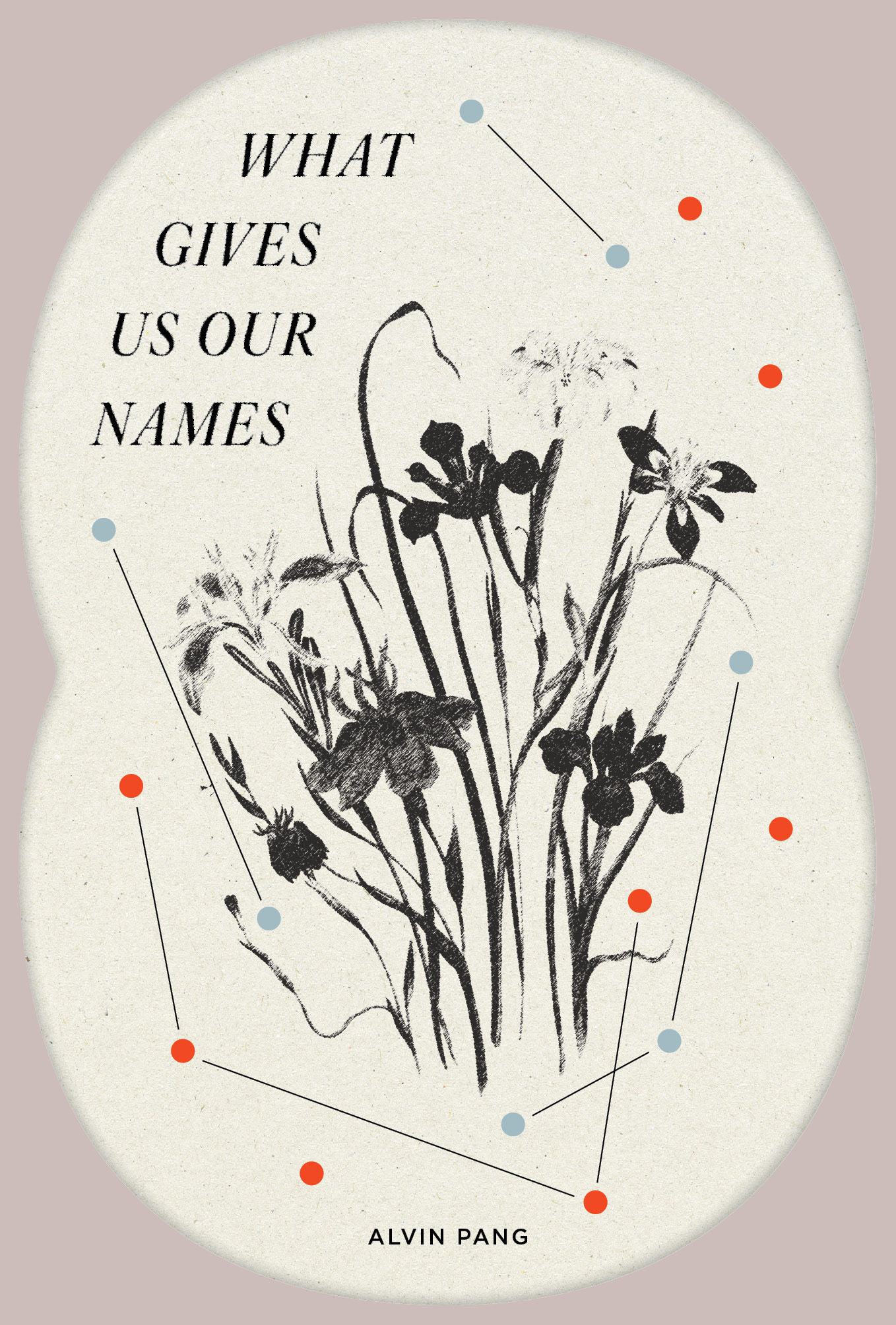 What Gives Us Our Names (reissue)