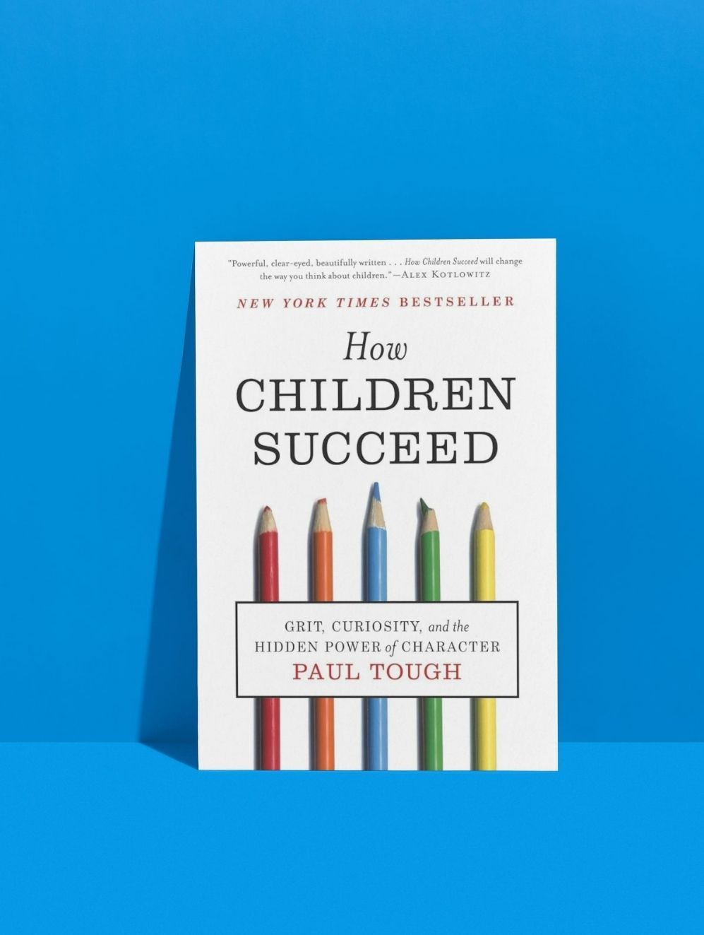 How Children Succeed - Grit, Curiosity and the Hidden Power of Character