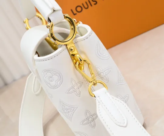 ルイヴィトン  Louis Vuitton  LV ブロデリー アングレーズ カプセル コレクション M20741  21 x 14 x8CM  240919