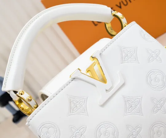 ルイヴィトン  Louis Vuitton  LV ブロデリー アングレーズ カプセル コレクション M20741  21 x 14 x8CM  240919