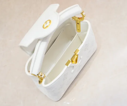 ルイヴィトン  Louis Vuitton  LV ブロデリー アングレーズ カプセル コレクション M20741  21 x 14 x8CM  240919