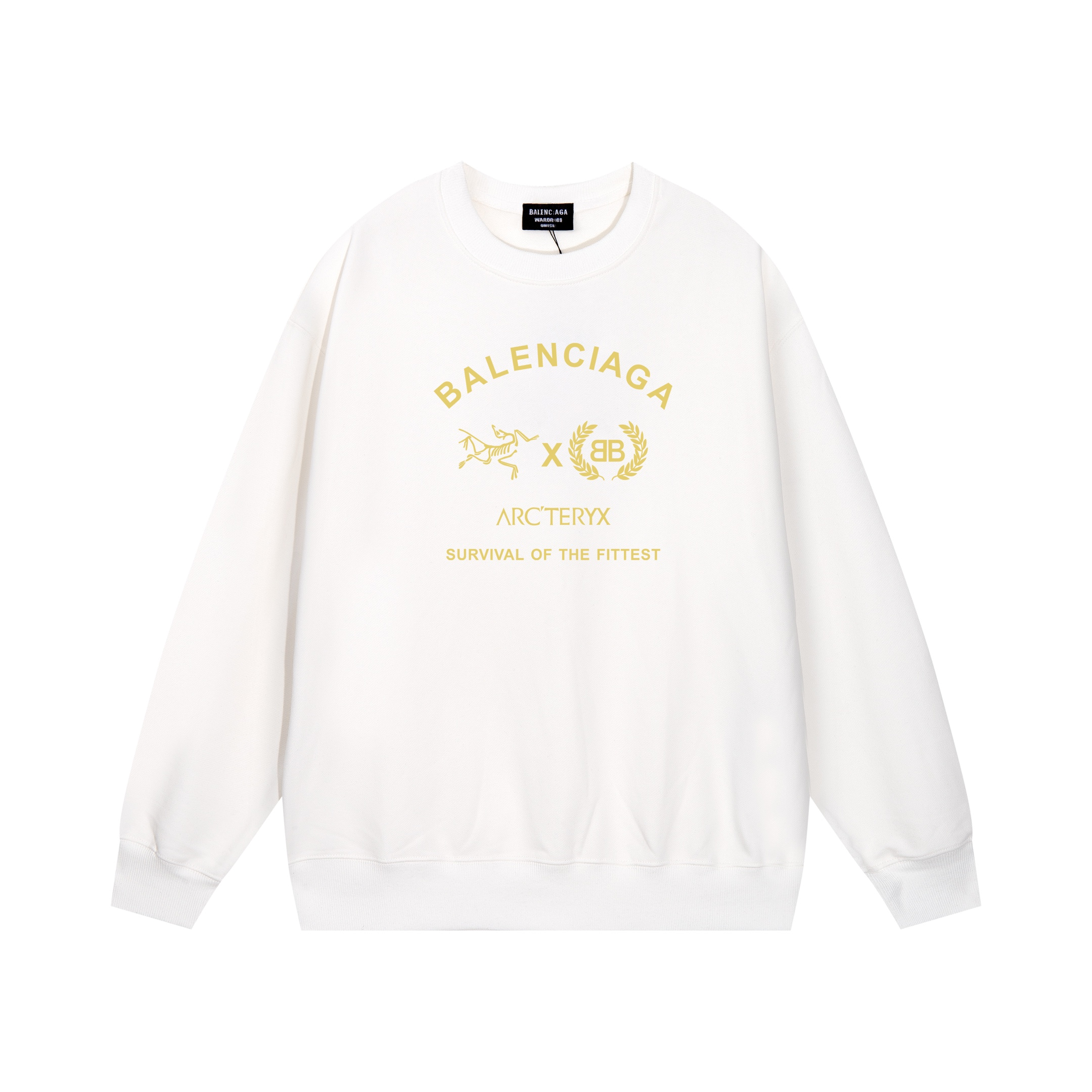 【BALENCIAGA 公式旗艦店】バレンシアガ 丸首の衛衣 スウェット ご好評に付き再入荷！241127