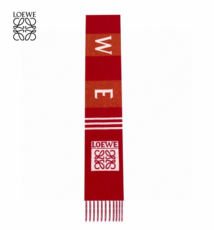 【LOEWE ロエベ】スカーフ30*190CM   241207