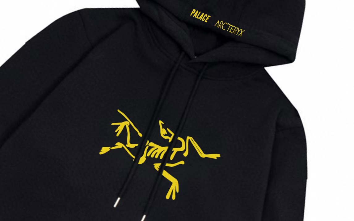 【ARCTERYX 公式旗艦店】アークテリクス  パーカー  スウェット ご好評に付き再入荷！241210