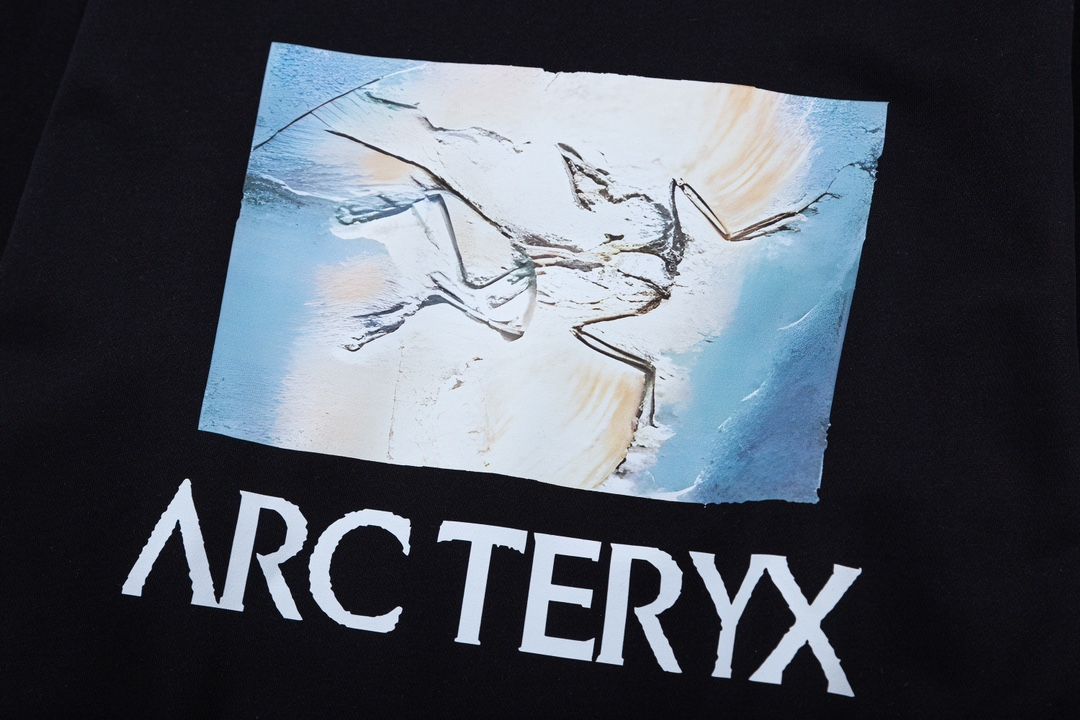 【ARCTERYX 公式旗艦店】アークテリクス  丸首の衛衣  スウェット ご好評に付き再入荷！241210
