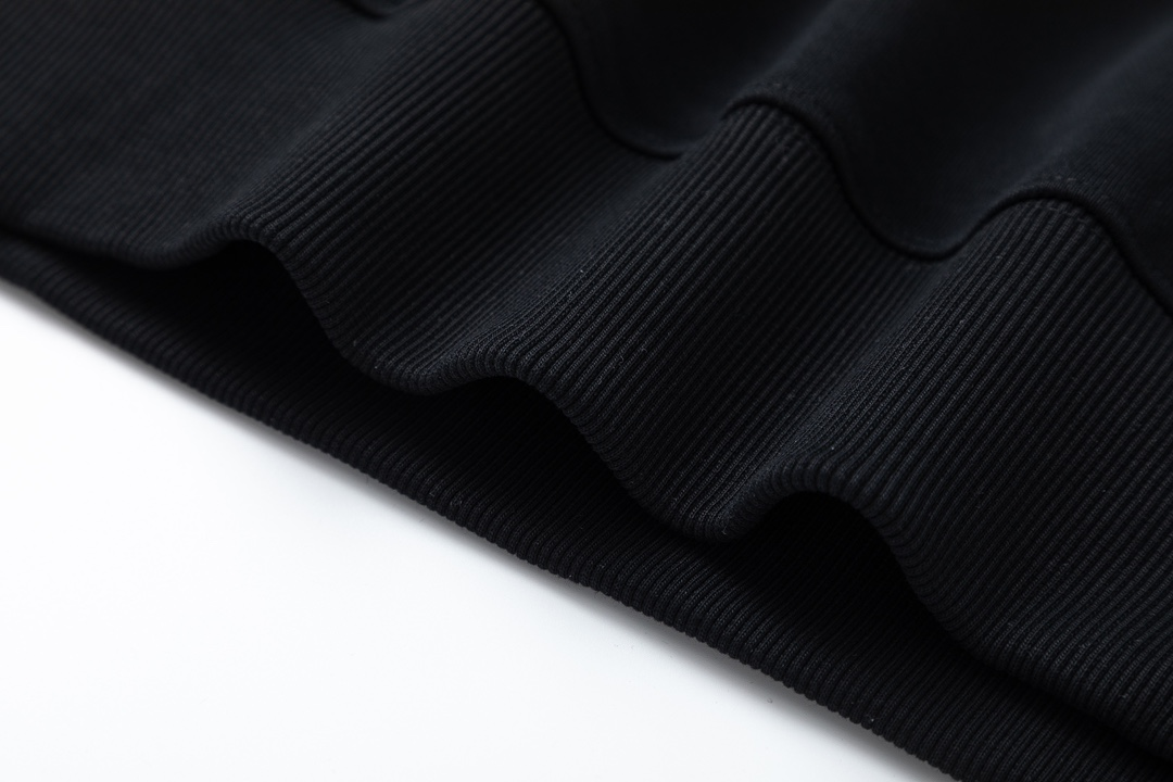 【ARCTERYX 公式旗艦店】アークテリクス  丸首の衛衣  スウェット ご好評に付き再入荷！241210