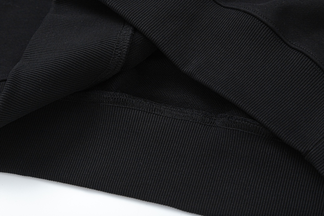 【ARCTERYX 公式旗艦店】アークテリクス  丸首の衛衣  スウェット ご好評に付き再入荷！241210