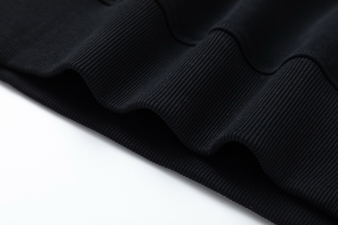 【ARCTERYX 公式旗艦店】アークテリクス  丸首の衛衣  スウェット ご好評に付き再入荷！241210