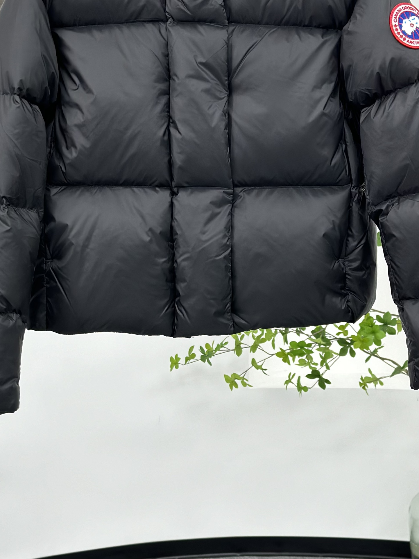 【Canada Goose  公式旗艦店】 カナダグース  ダウンジャケット ご好評に付き再入荷！241227