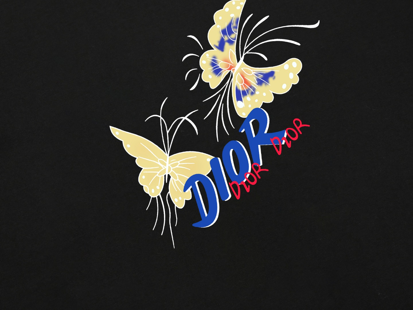 【DIOR 公式旗艦店】ディオール   Tシャツ ご好評に付き再入荷 250210