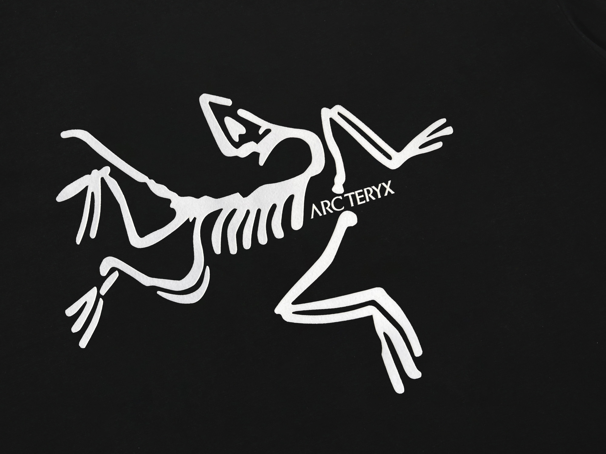 【ARCTERYX  公式旗艦店】 アークテリクス  Tシャツ ご好評に付き再入荷！250217