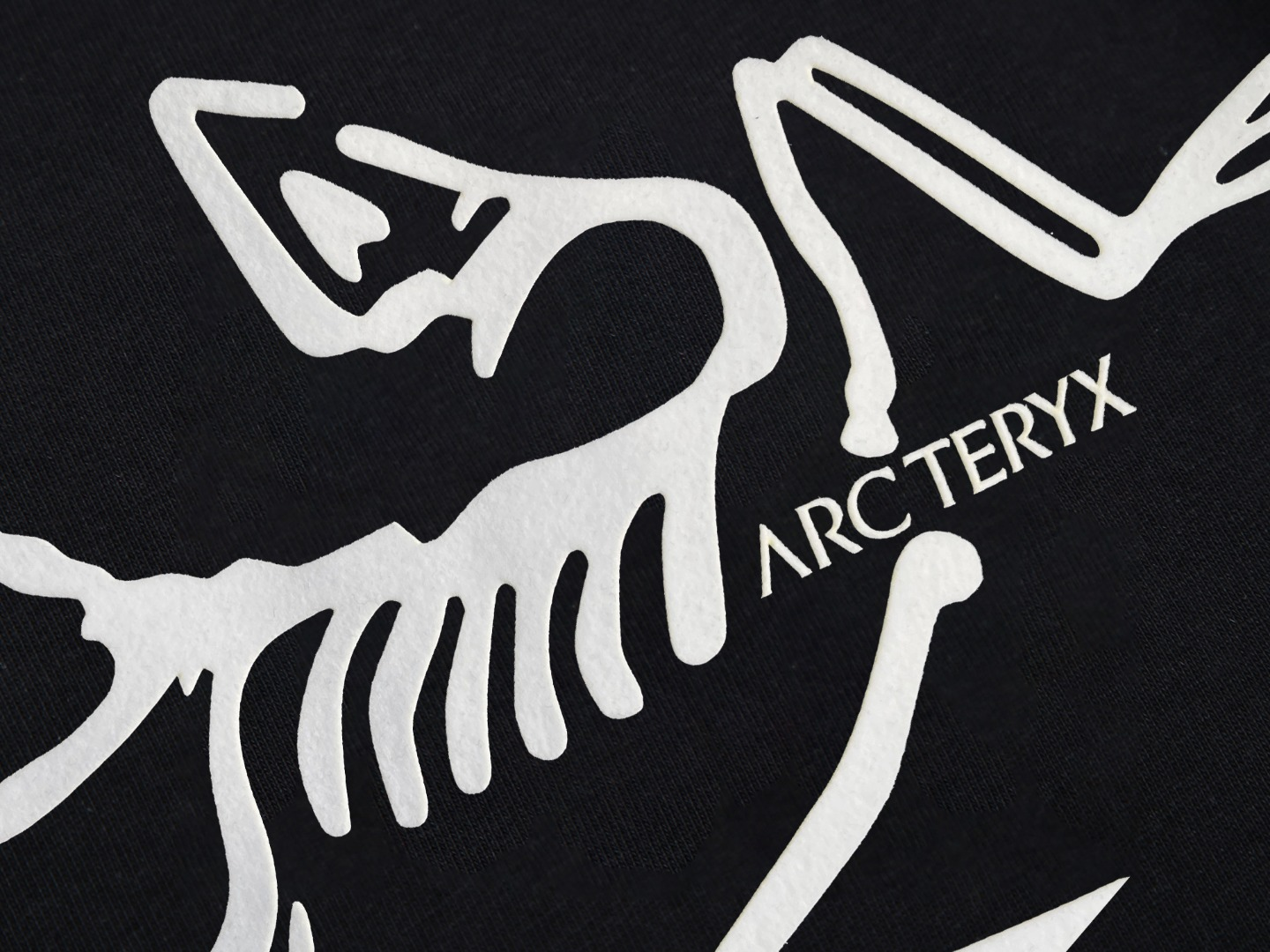 【ARCTERYX  公式旗艦店】 アークテリクス  Tシャツ ご好評に付き再入荷！250217
