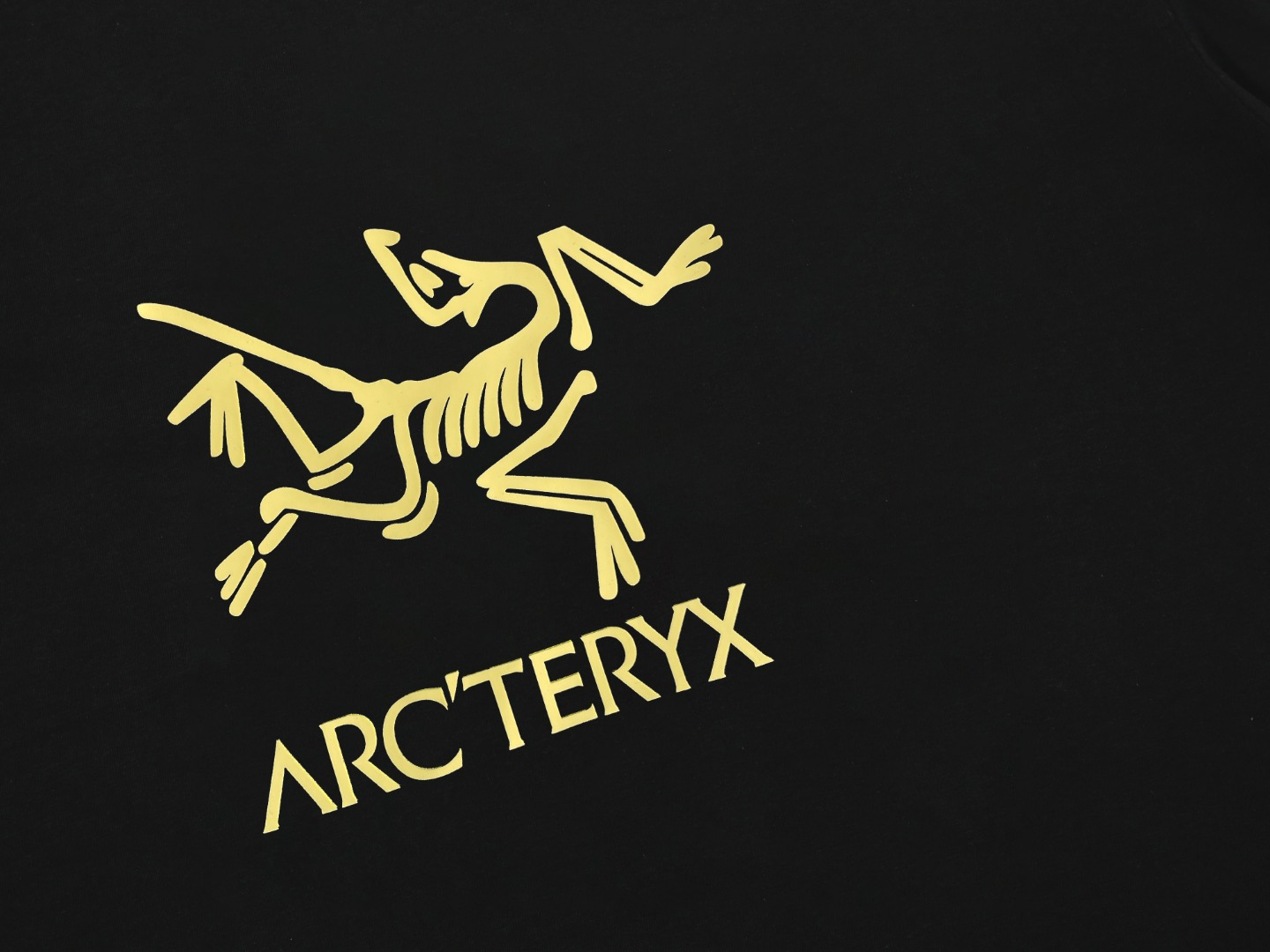 【ARCTERYX  公式旗艦店】 アークテリクス  Tシャツ ご好評に付き再入荷！250217