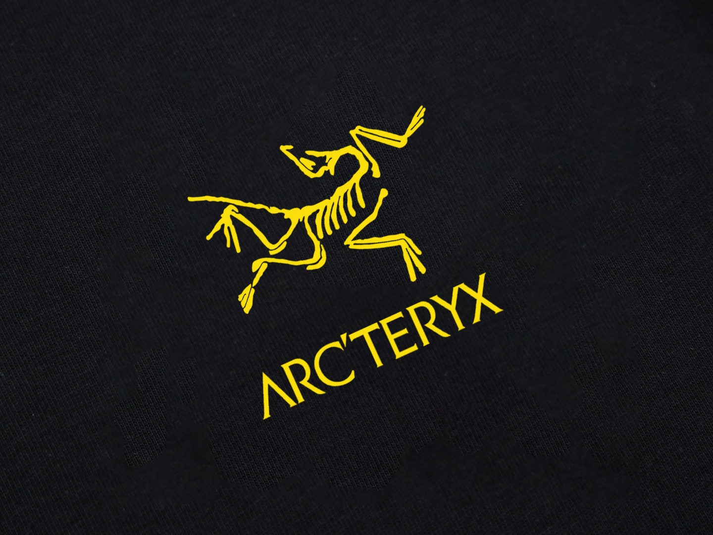 【ARCTERYX  公式旗艦店】 アークテリクス  Tシャツ ご好評に付き再入荷！250217
