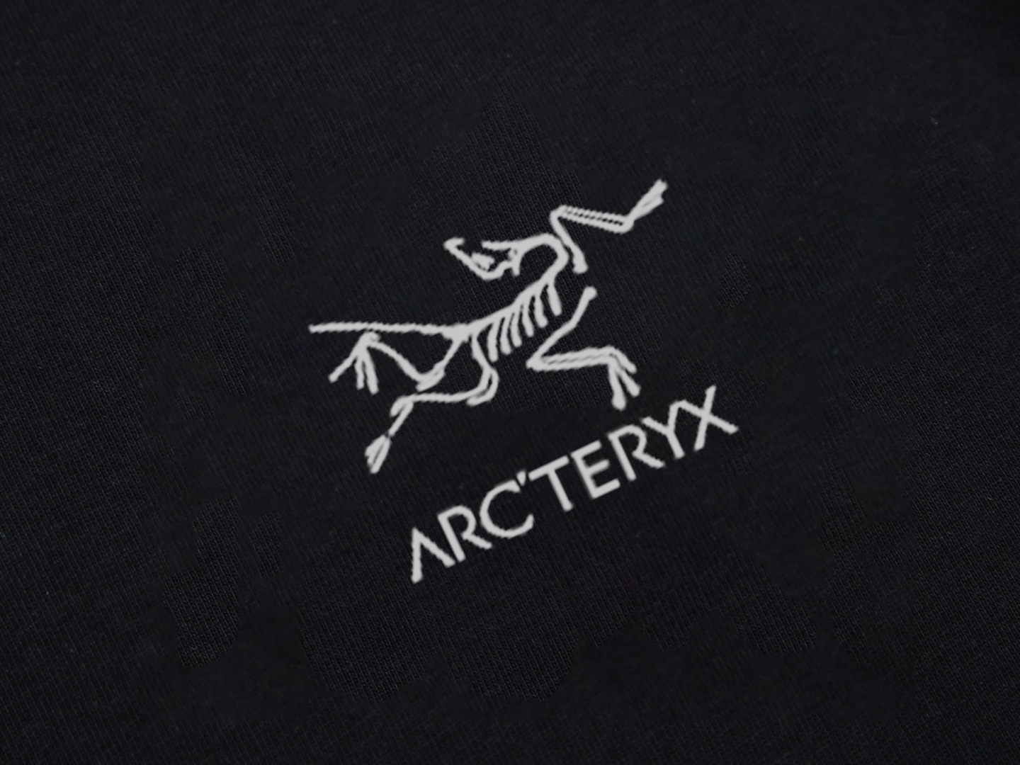 【ARCTERYX  公式旗艦店】 アークテリクス  Tシャツ ご好評に付き再入荷！250217