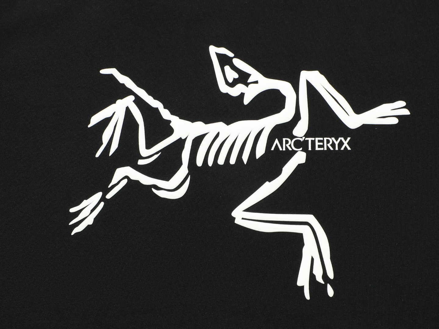 【ARCTERYX  公式旗艦店】 アークテリクス  Tシャツ ご好評に付き再入荷！250217