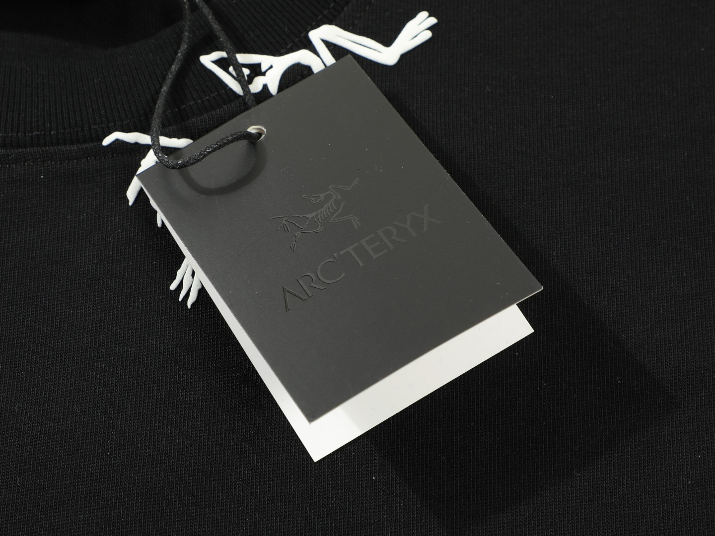 【ARCTERYX  公式旗艦店】 アークテリクス  Tシャツ ご好評に付き再入荷！250217