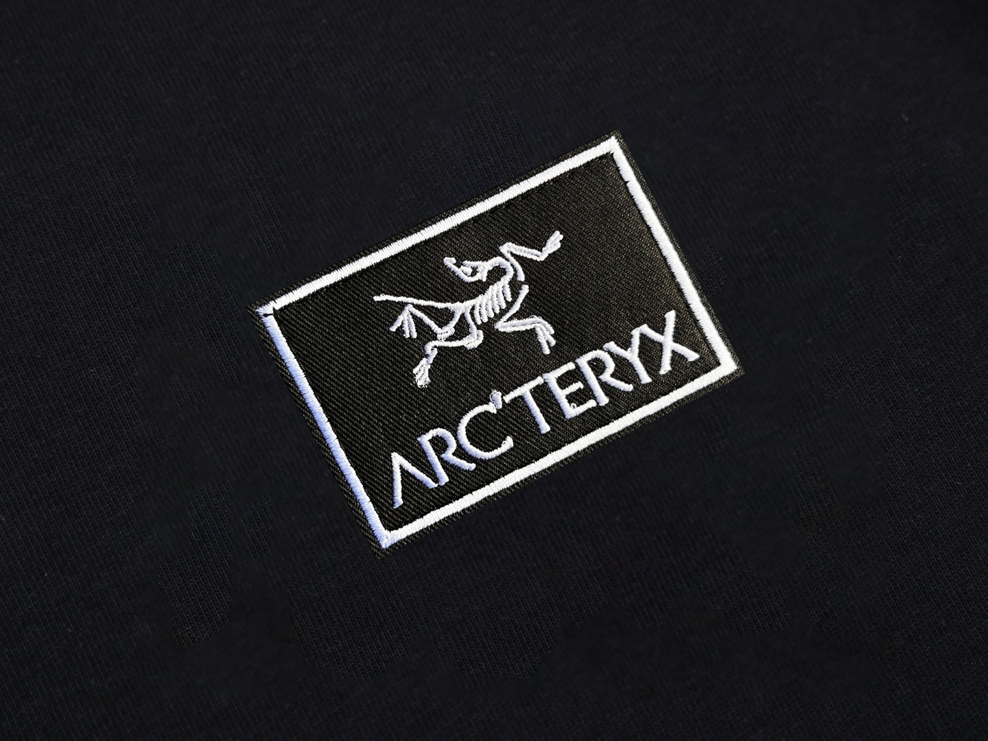 【ARCTERYX  公式旗艦店】 アークテリクス  Tシャツ ご好評に付き再入荷！250217