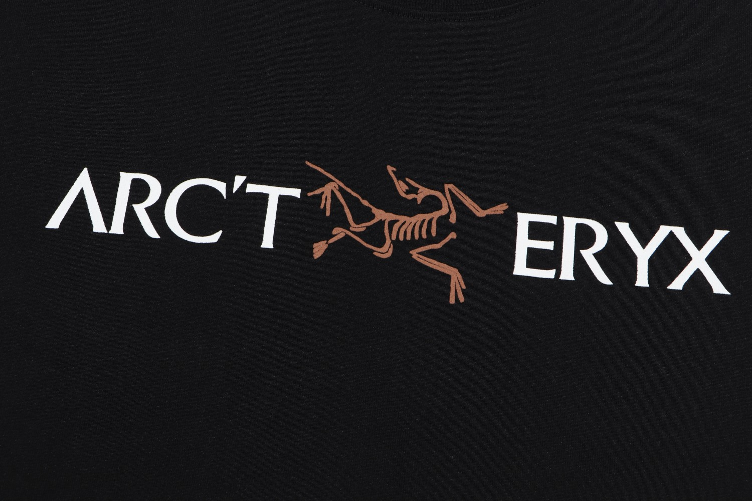 【ARCTERYX  公式旗艦店】 アークテリクス  Tシャツ ご好評に付き再入荷！250217