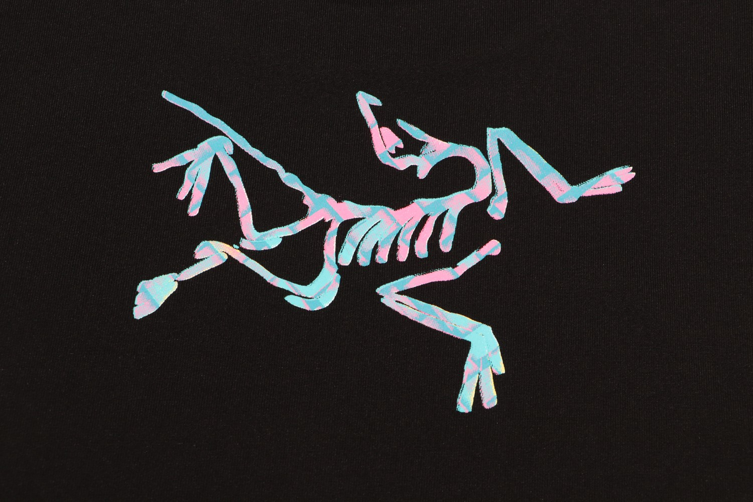 【ARCTERYX  公式旗艦店】 アークテリクス  Tシャツ ご好評に付き再入荷！250217