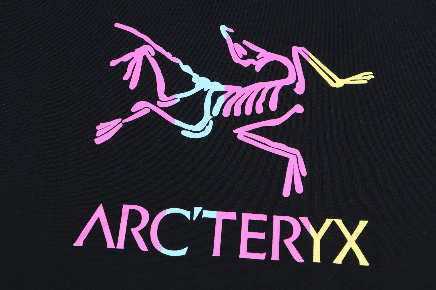 【ARCTERYX  公式旗艦店】 アークテリクス  Tシャツ ご好評に付き再入荷！250217
