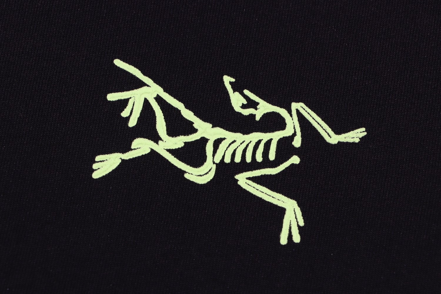 【ARCTERYX  公式旗艦店】 アークテリクス  Tシャツ ご好評に付き再入荷！250217