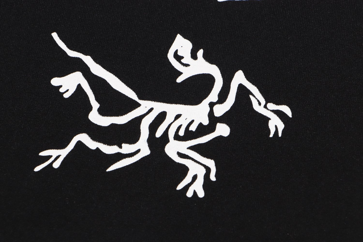 【ARCTERYX  公式旗艦店】 アークテリクス  Tシャツ ご好評に付き再入荷！250217