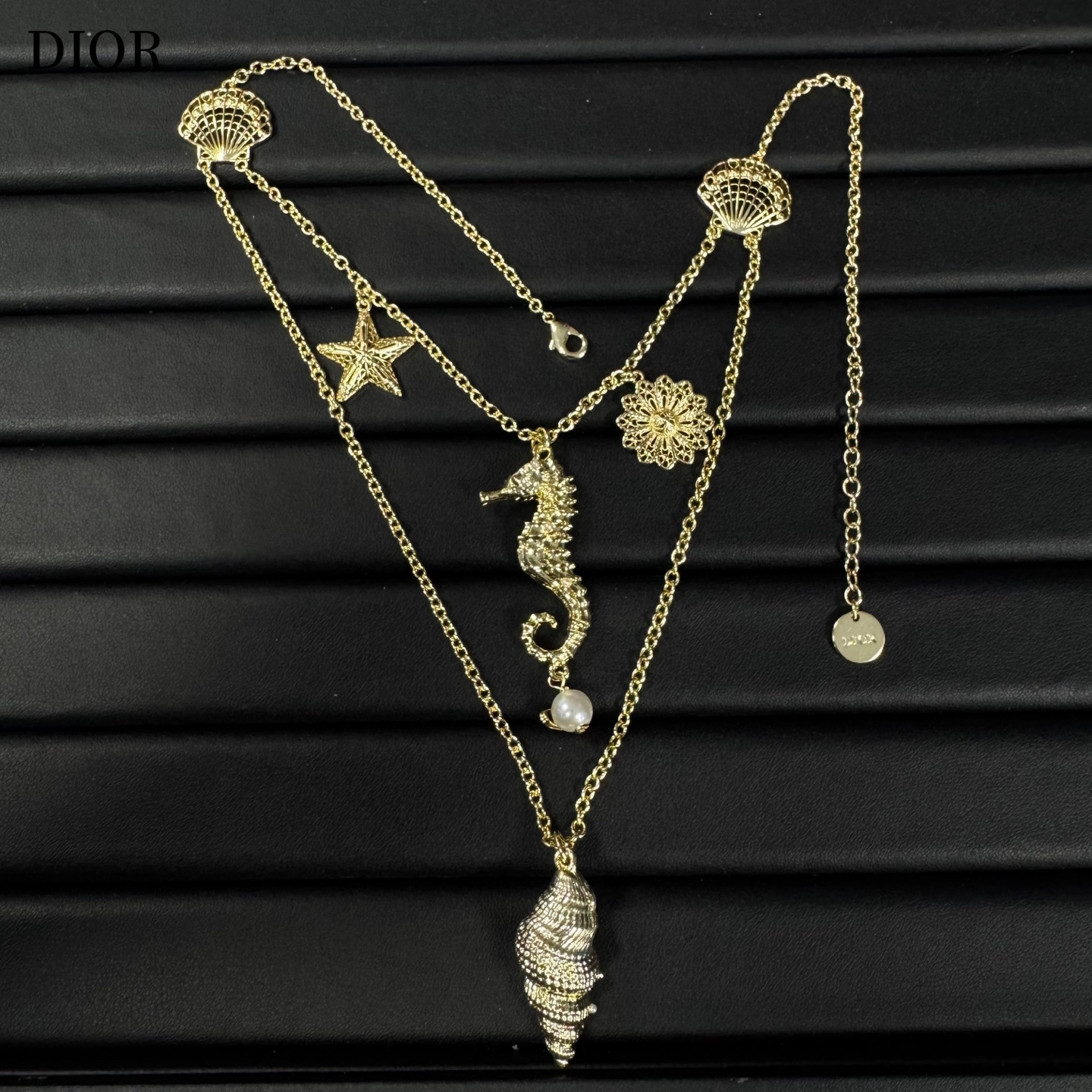 【DIOR】ネックレス、新しいネックレス万能シンプルファッションオーナメント  250301