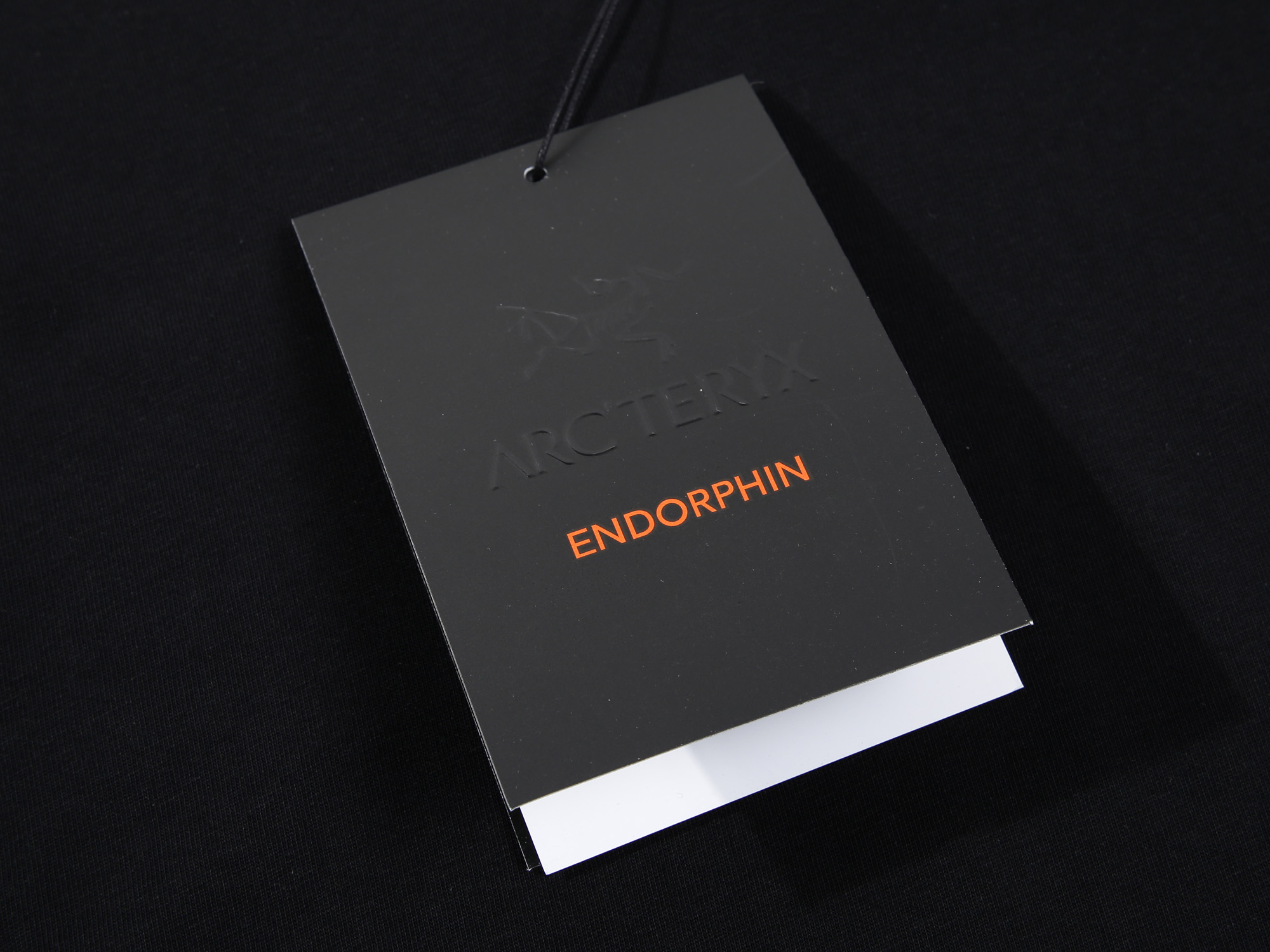 【ARCTERYX  公式旗艦店】 アークテリクス  Tシャツ ご好評に付き再入荷！250217